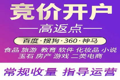 关键词竞价排名策略案例分析